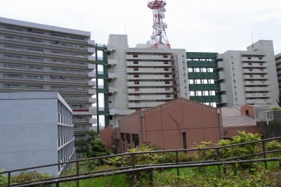 RIMG1265.JPG