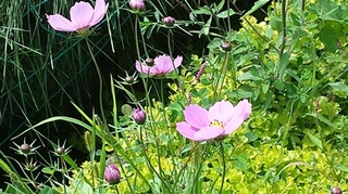 菅平004.jpg