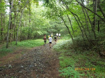 image012.jpg