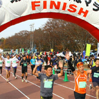 tsukuba2011_repo3.jpg